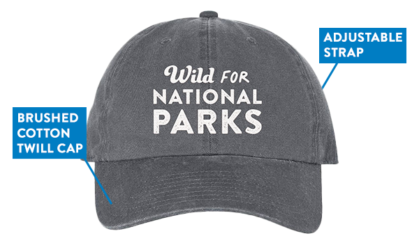 Wild for National Parks grey ball cap