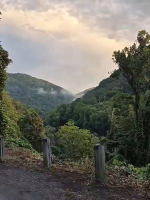 Beauty in our mountains