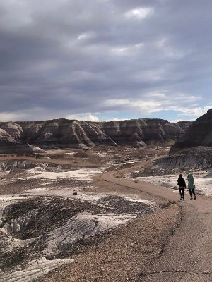 Petrified Forest National Park (Arizona)